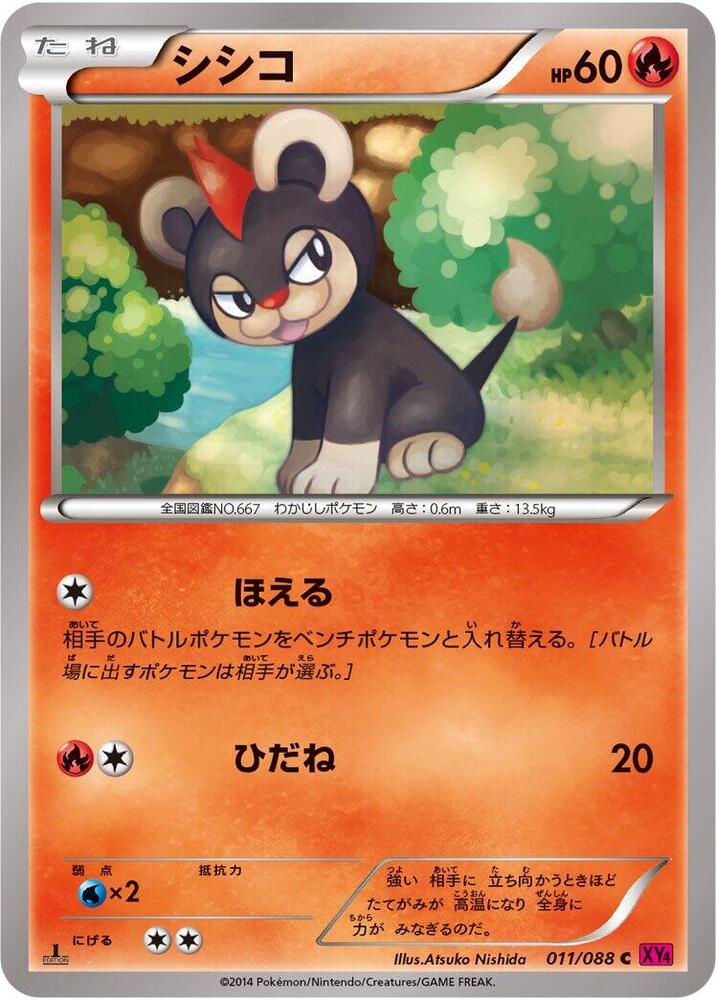 小獅獅