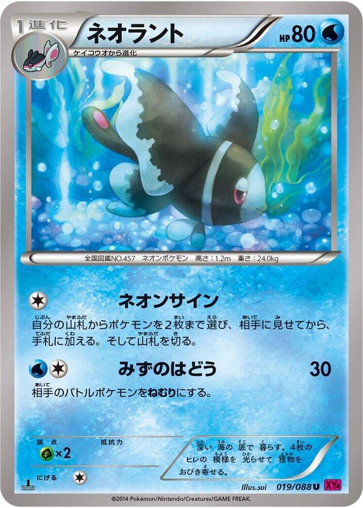 霓虹魚