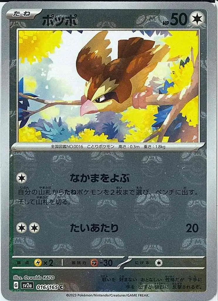 Pidgey