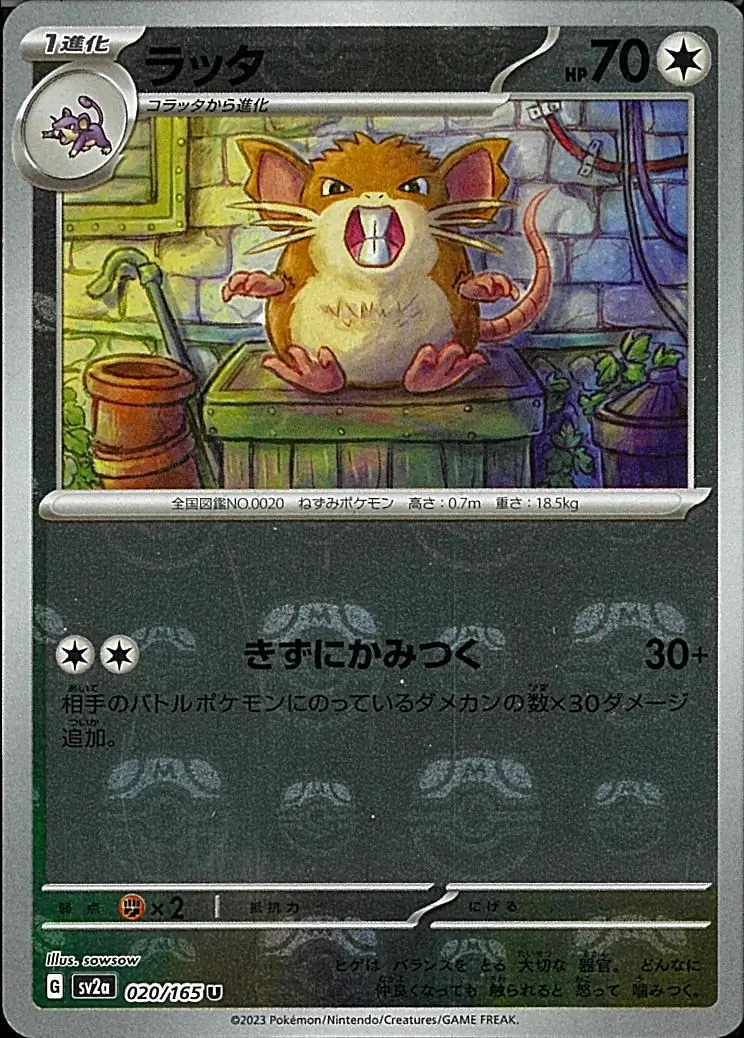 Raticate