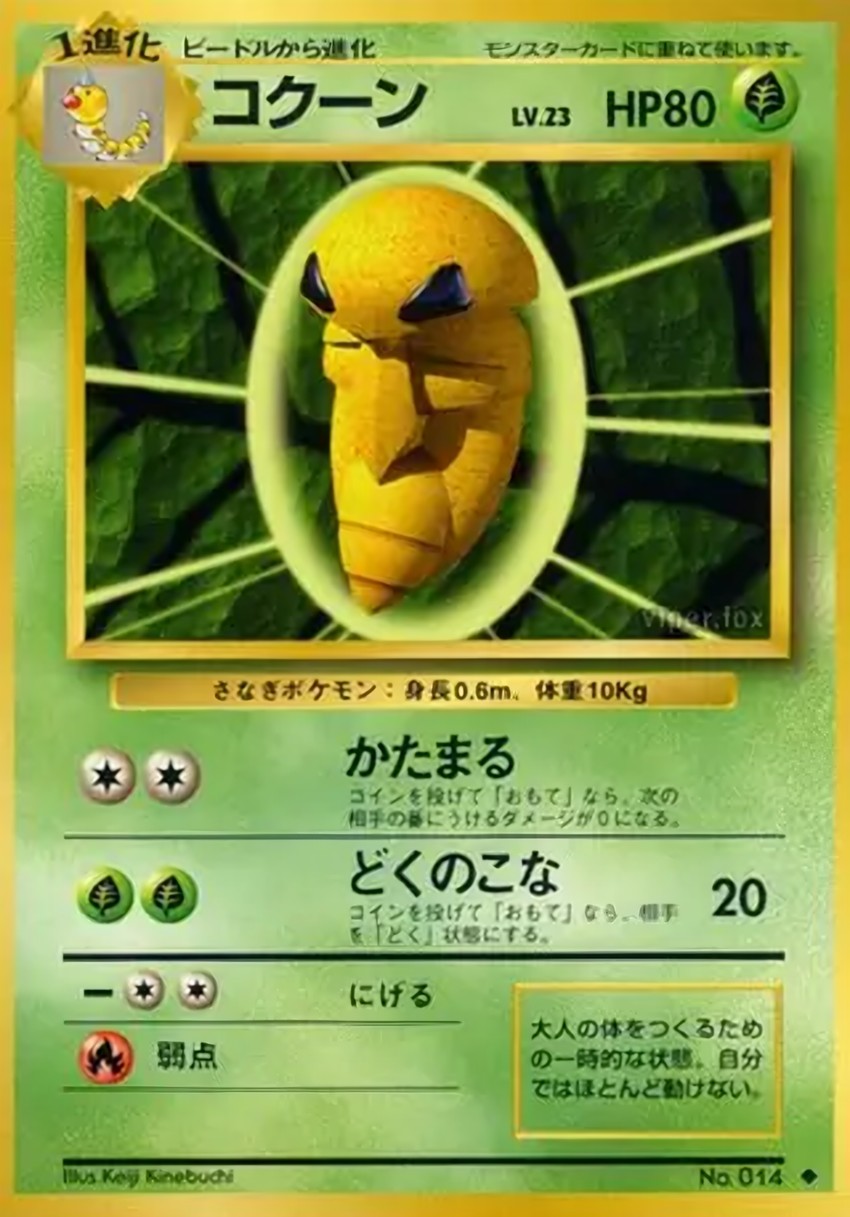 鐵殼蛹