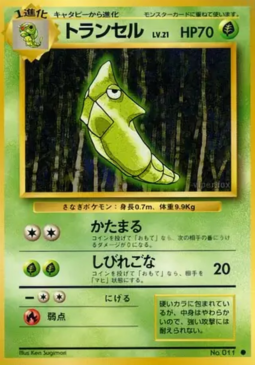鐵甲蛹