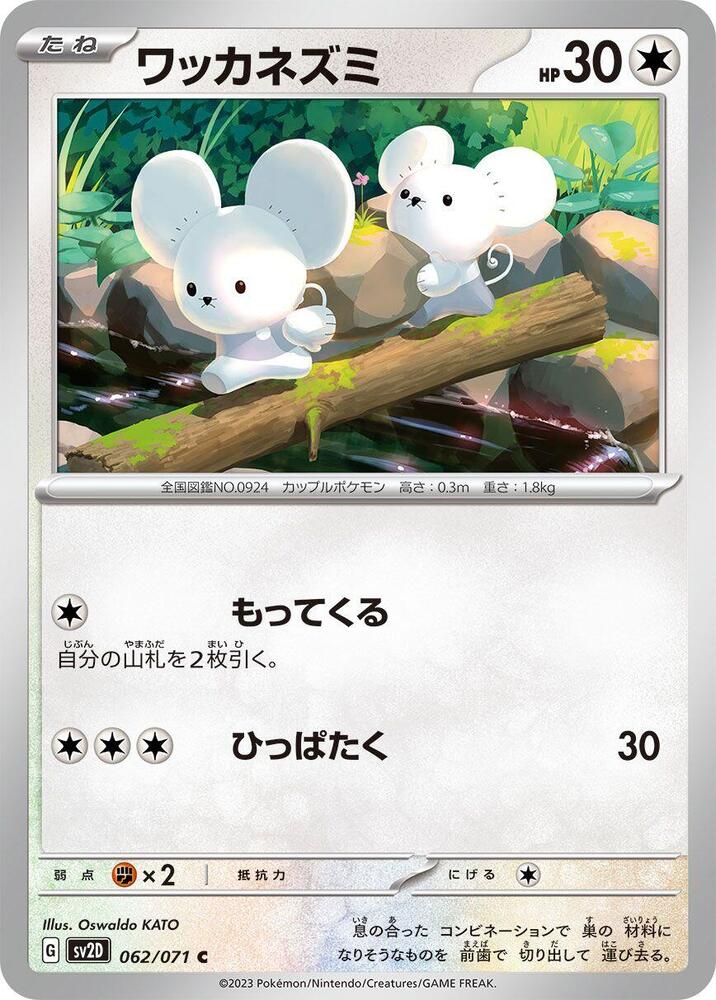 一對鼠