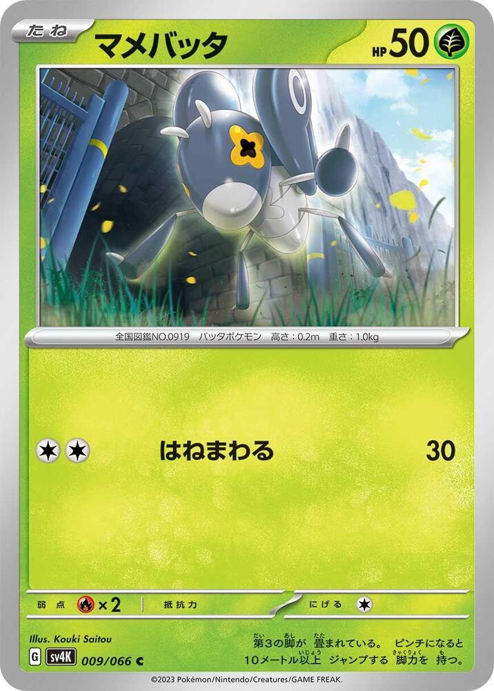 豆蟋蟀