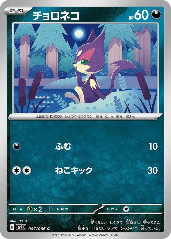 扒手貓