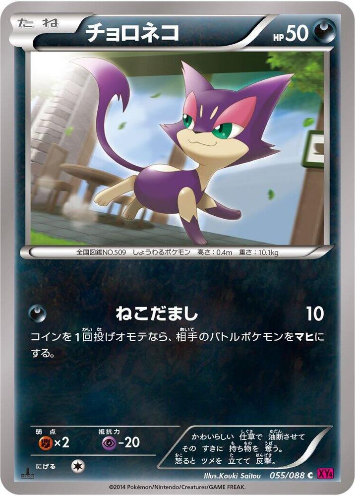 扒手貓