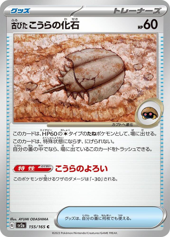Ancient Dome Fossil
