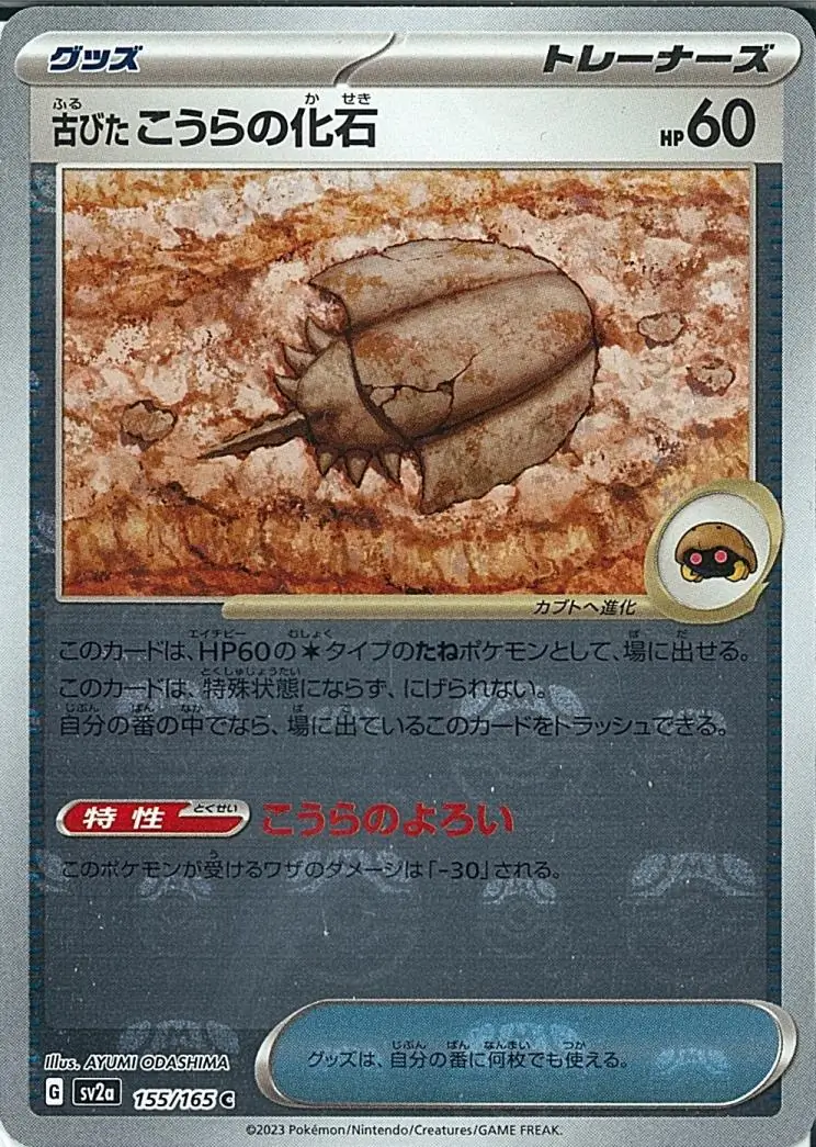 Ancient Dome Fossil