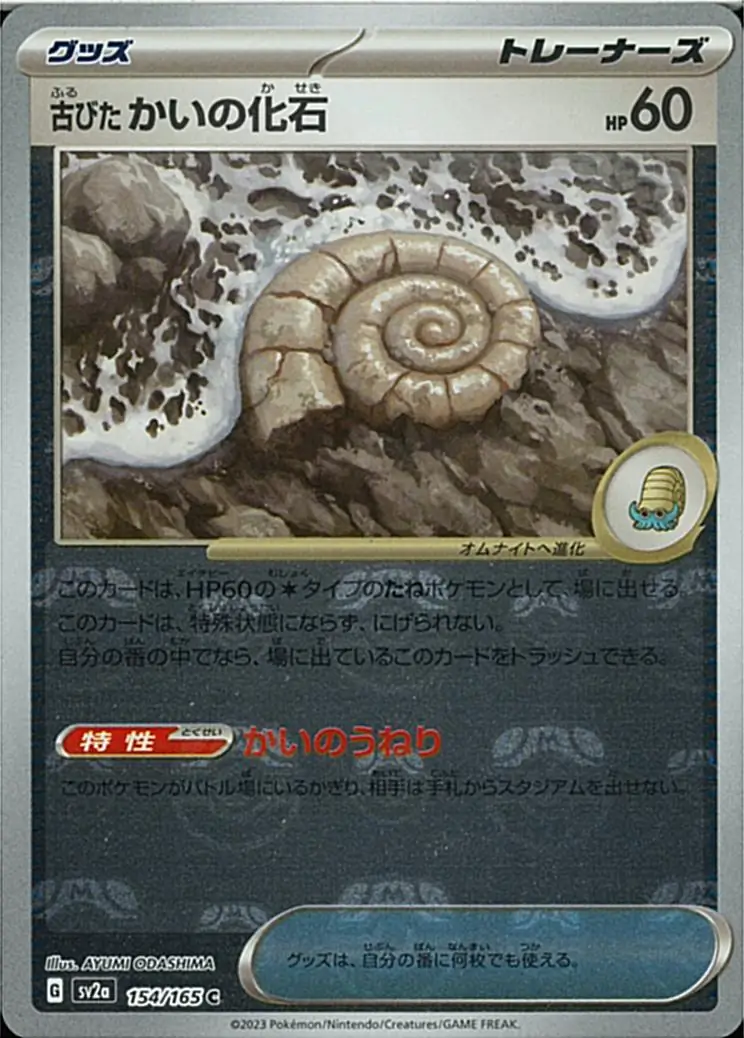 Ancient Helix Fossil
