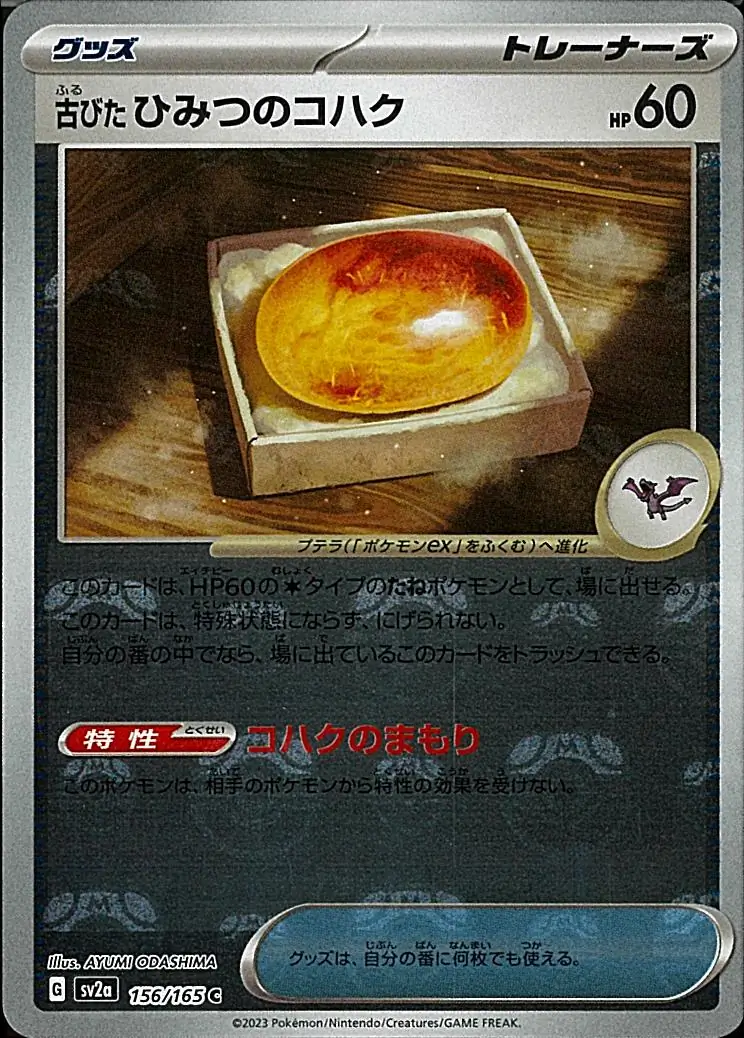 Ancient Old Amber