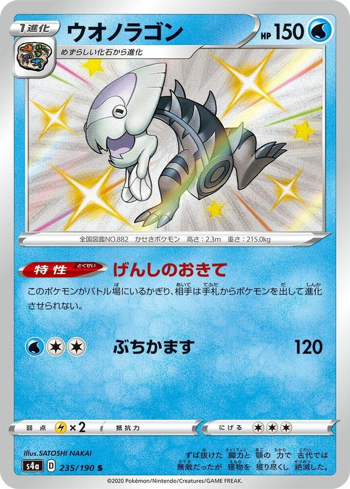 鰓魚龍