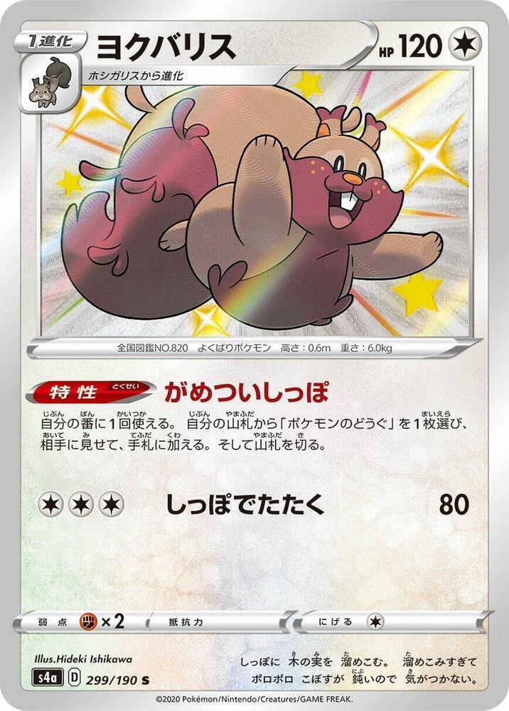 藏飽栗鼠