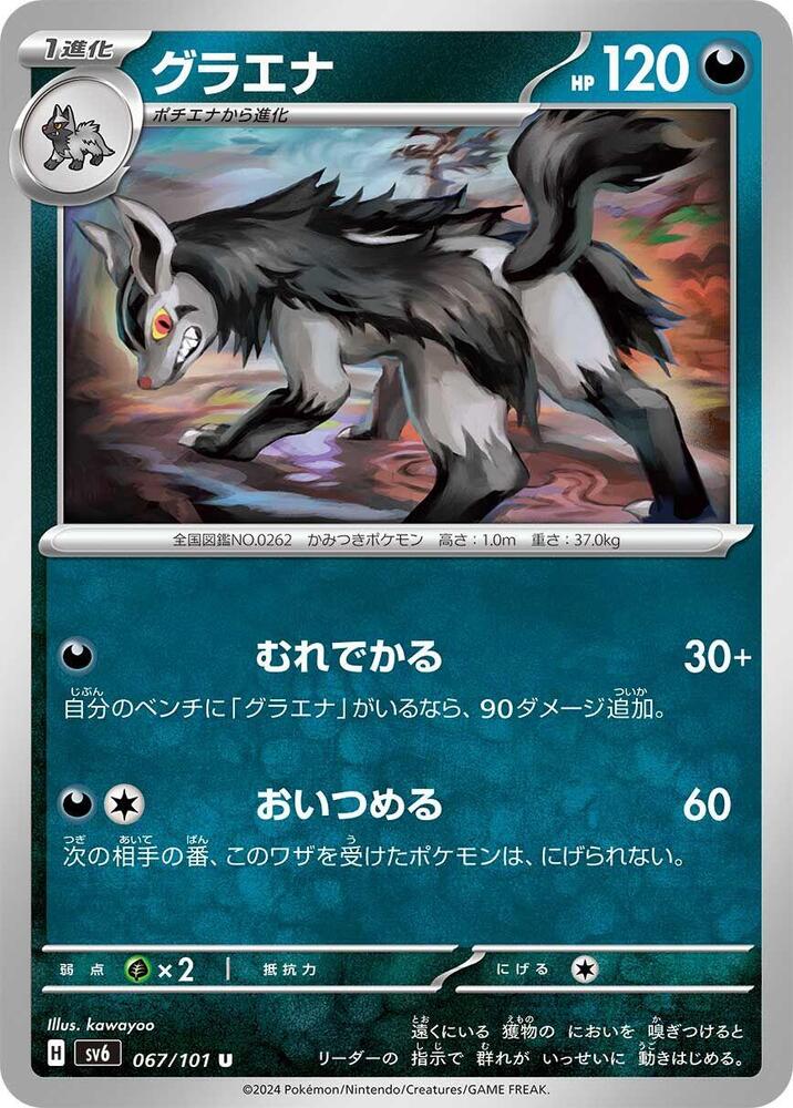 大狼犬