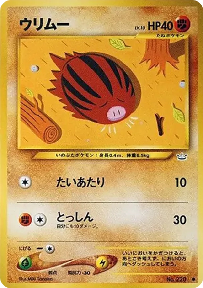小山豬