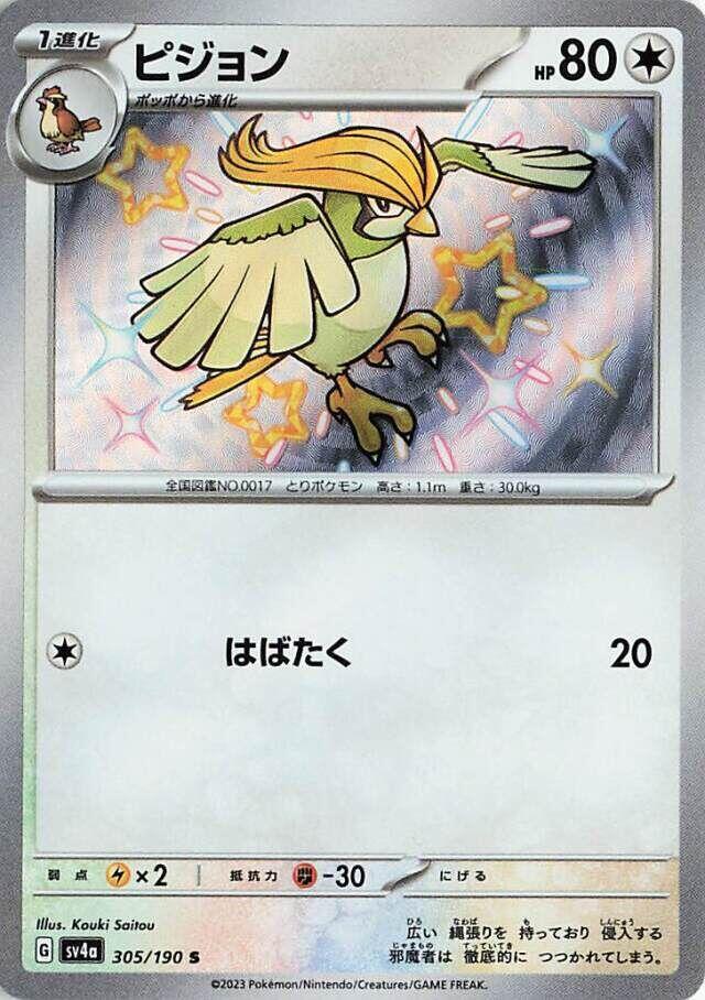 比比鳥