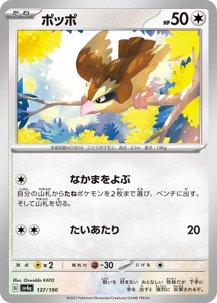 波波