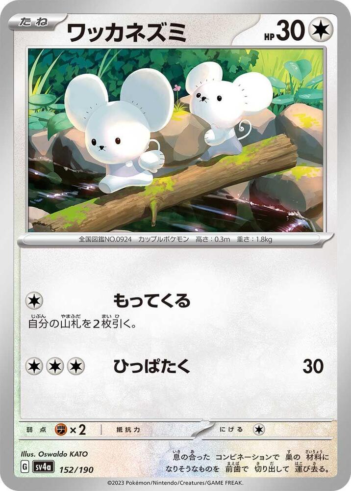 一對鼠