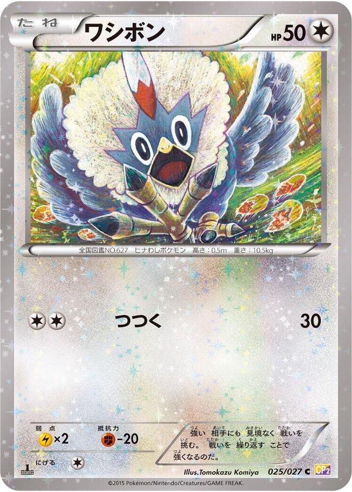 毛頭小鷹