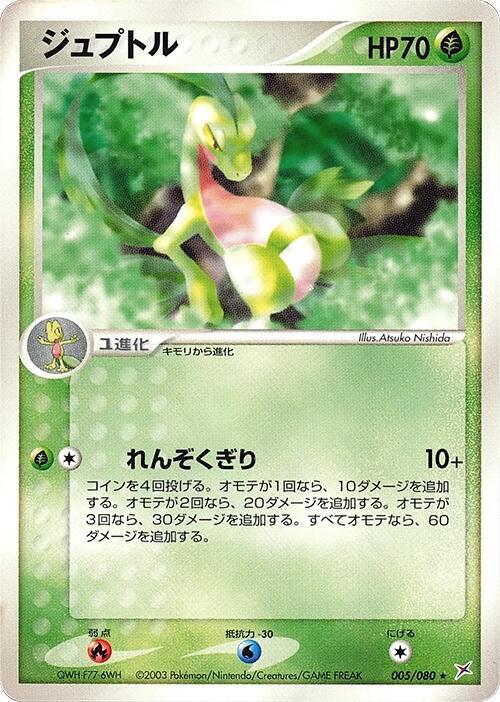 森林蜥蜴