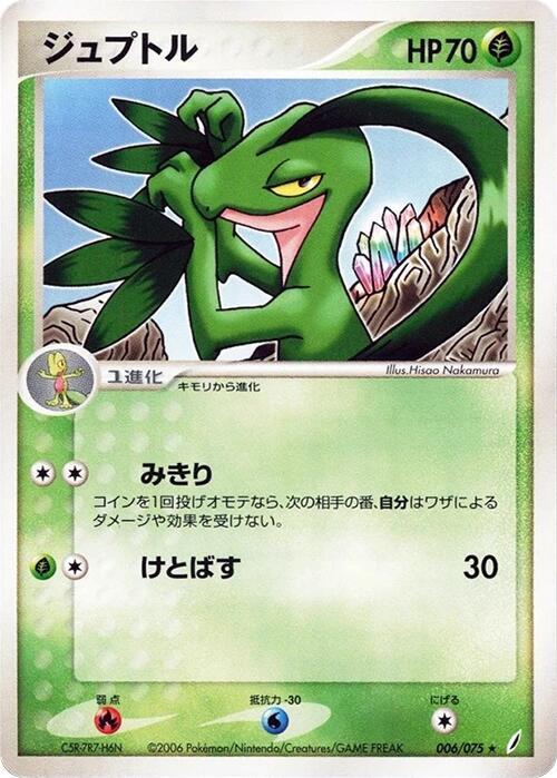 森林蜥蜴