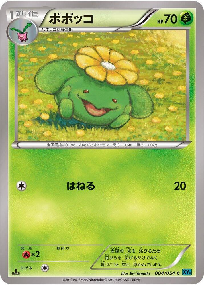 Skiploom