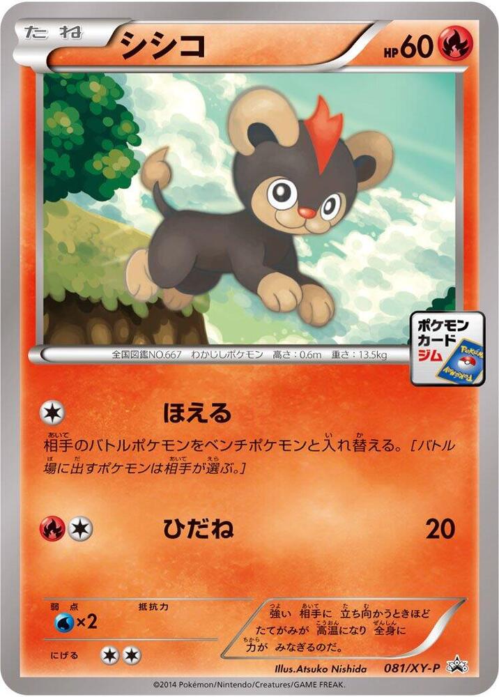 小獅獅