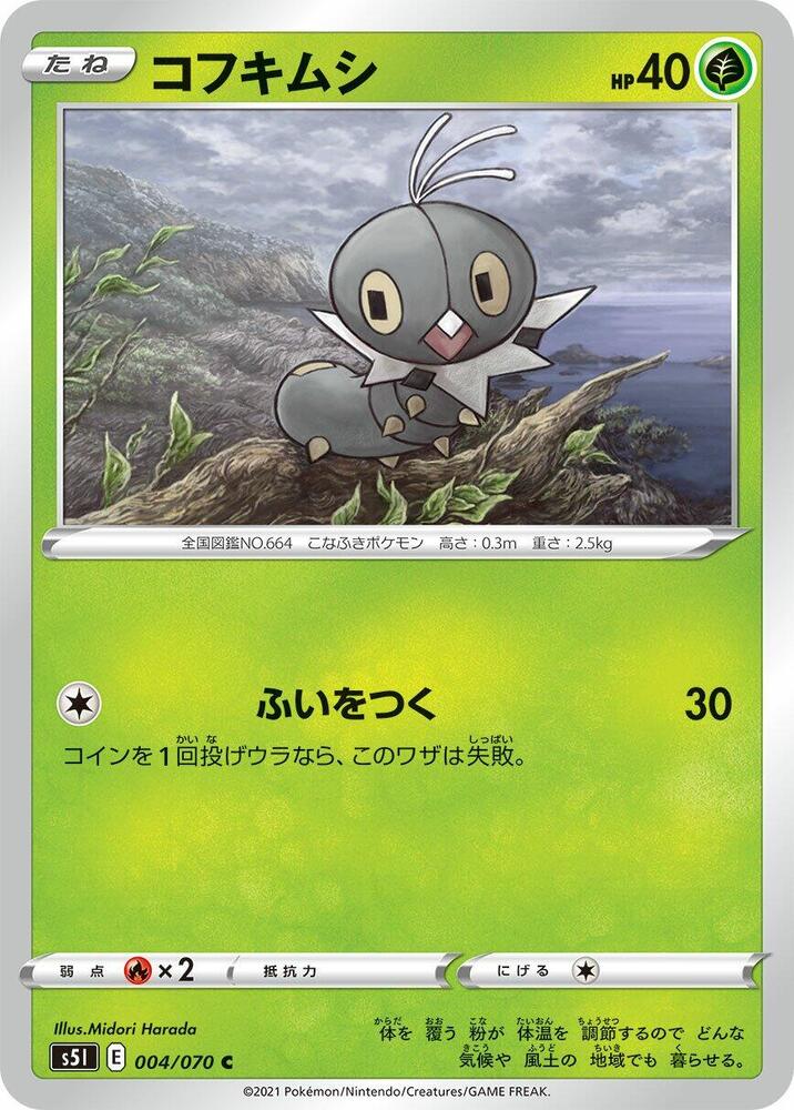 粉蝶蟲