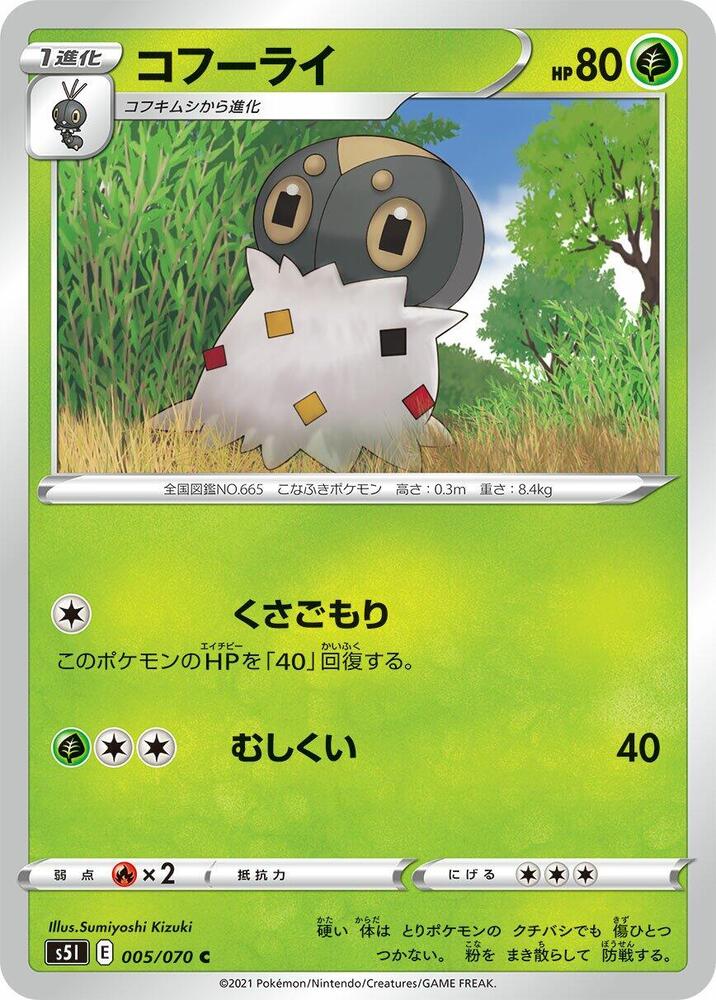 粉蝶蛹