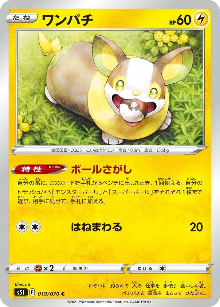 來電汪