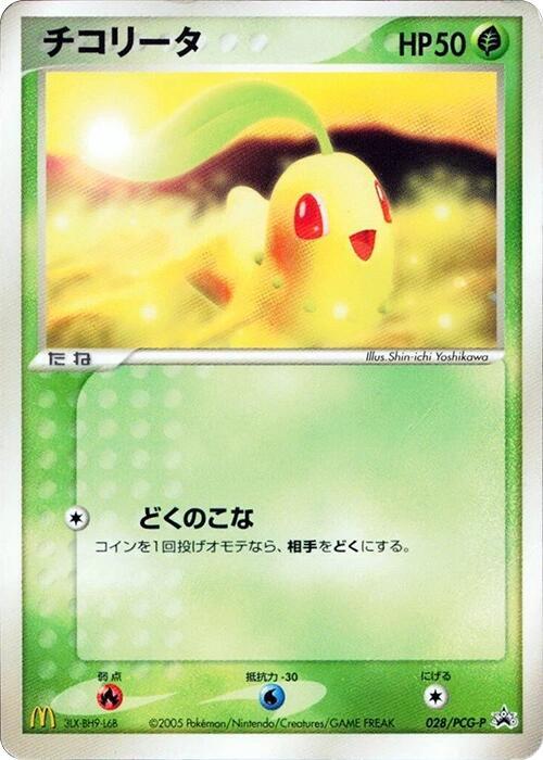 菊草葉