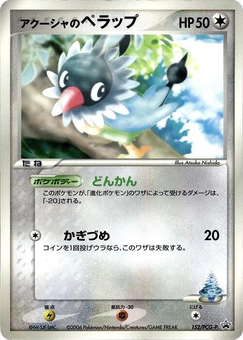 Samiya's 聒噪鳥