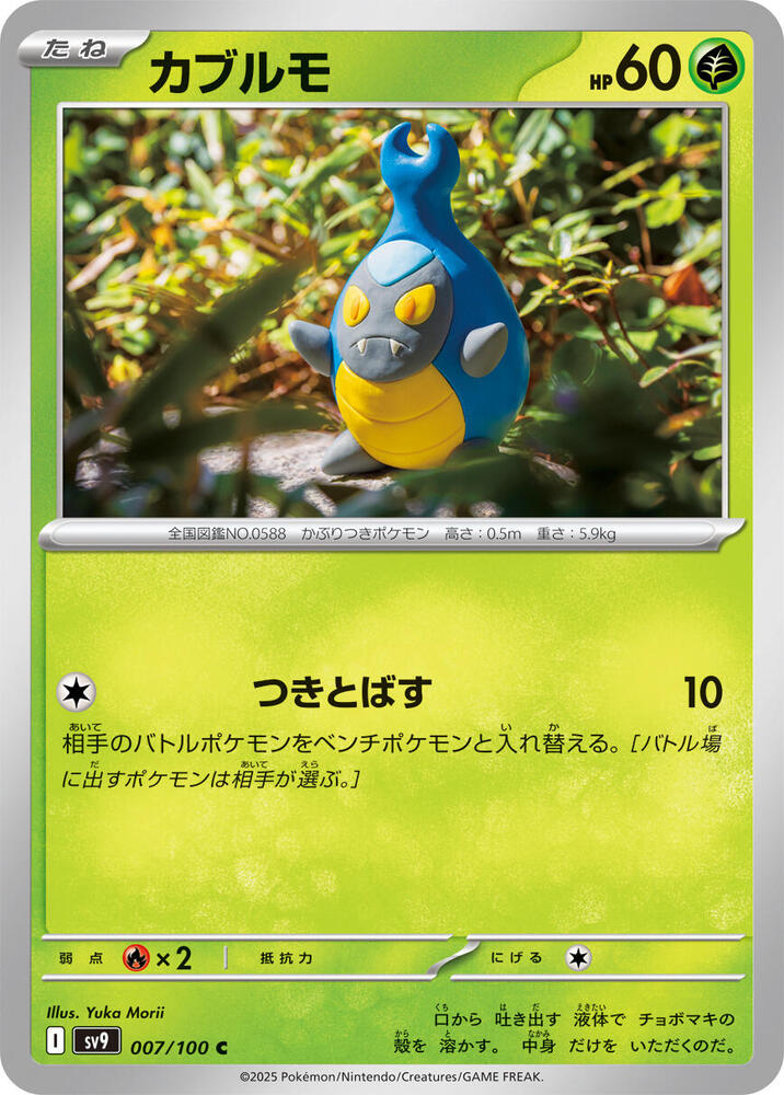 蓋蓋蟲