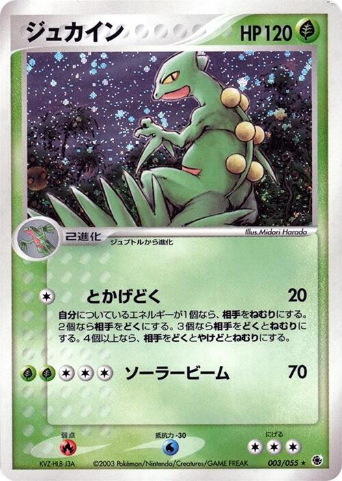 蜥蜴王