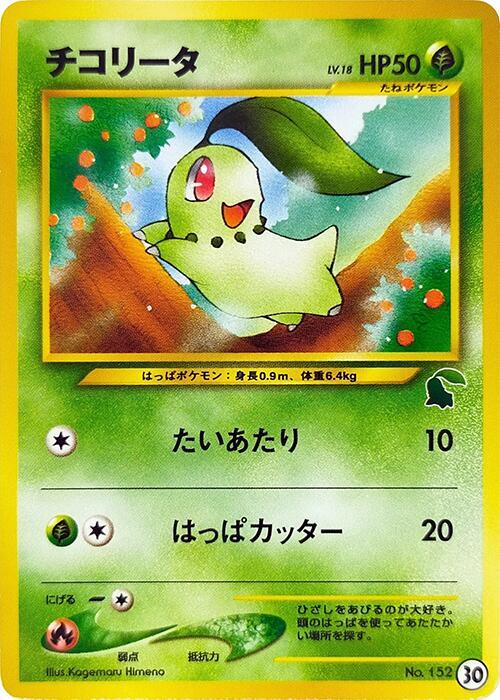 Chikorita