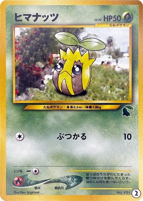 向日種子