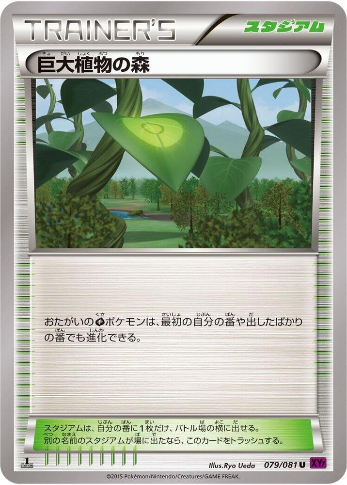 Forest of Giant Plants