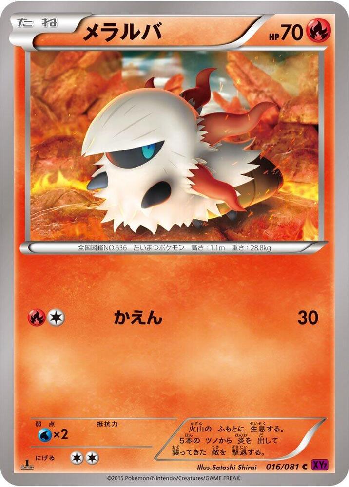燃燒蟲