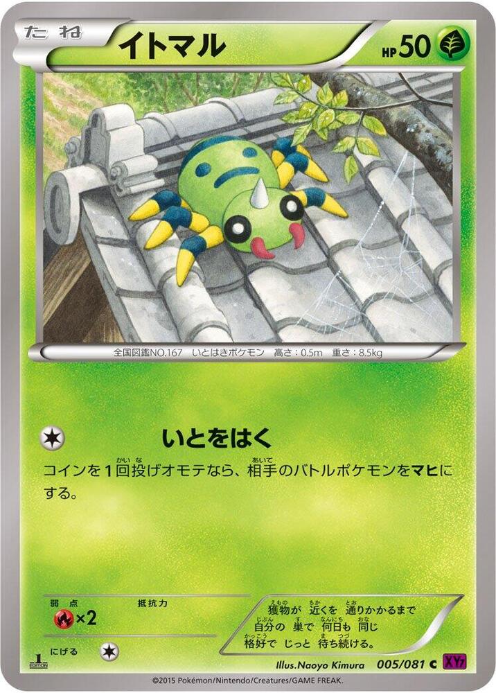 圓絲蛛