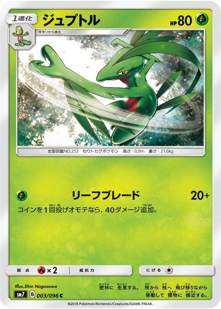 森林蜥蜴