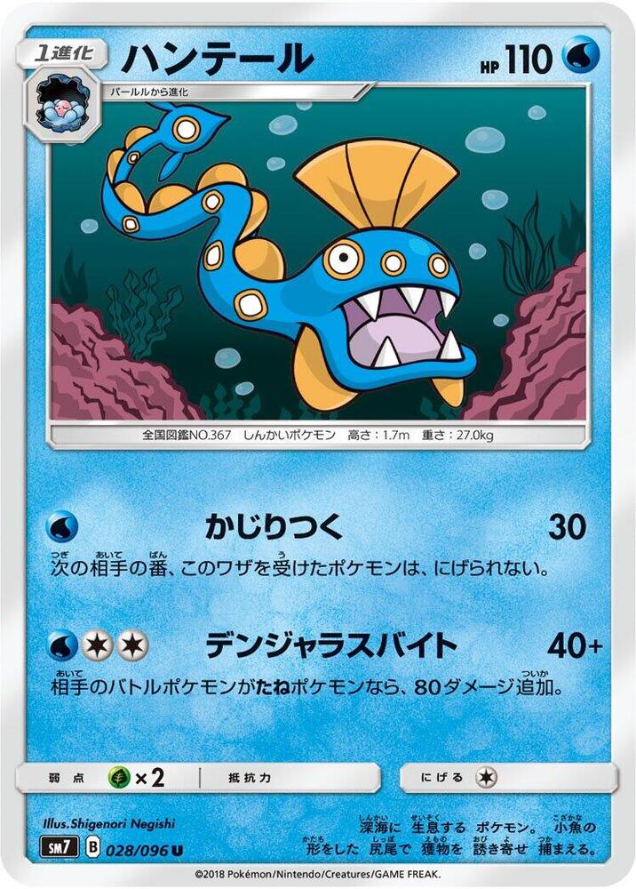 獵斑魚