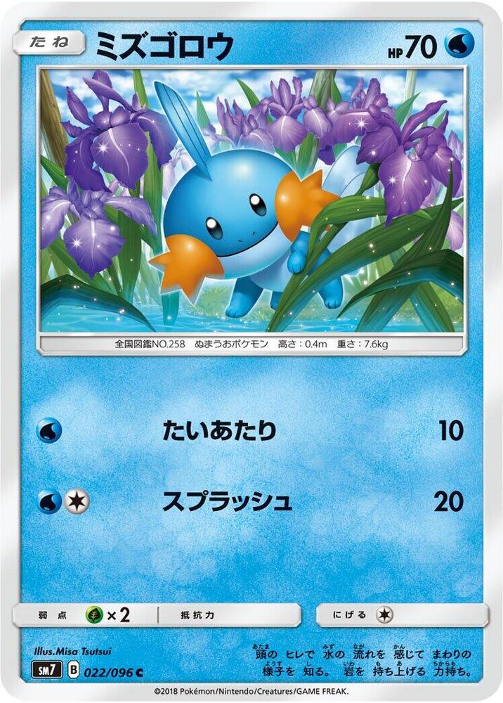 水躍魚