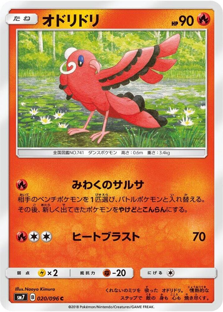 花舞鳥