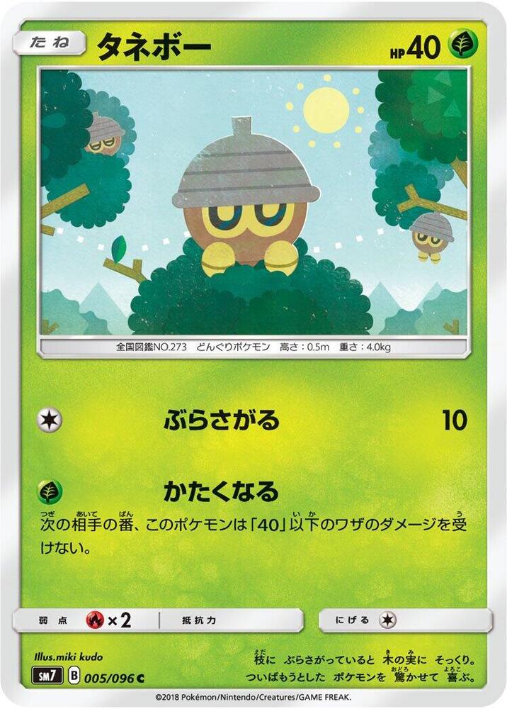 橡實果