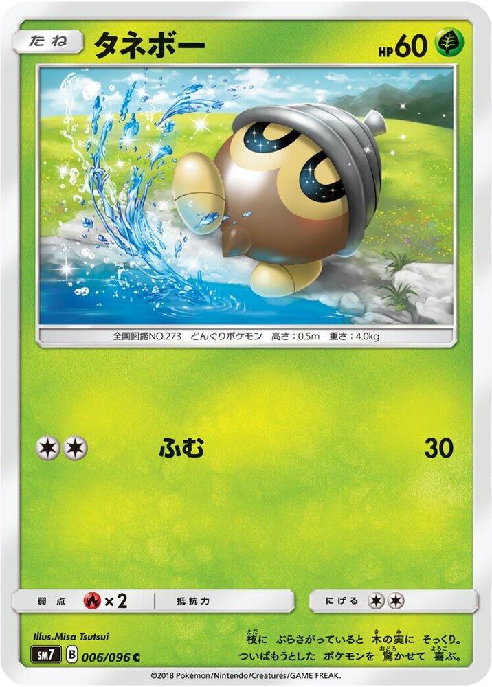 橡實果