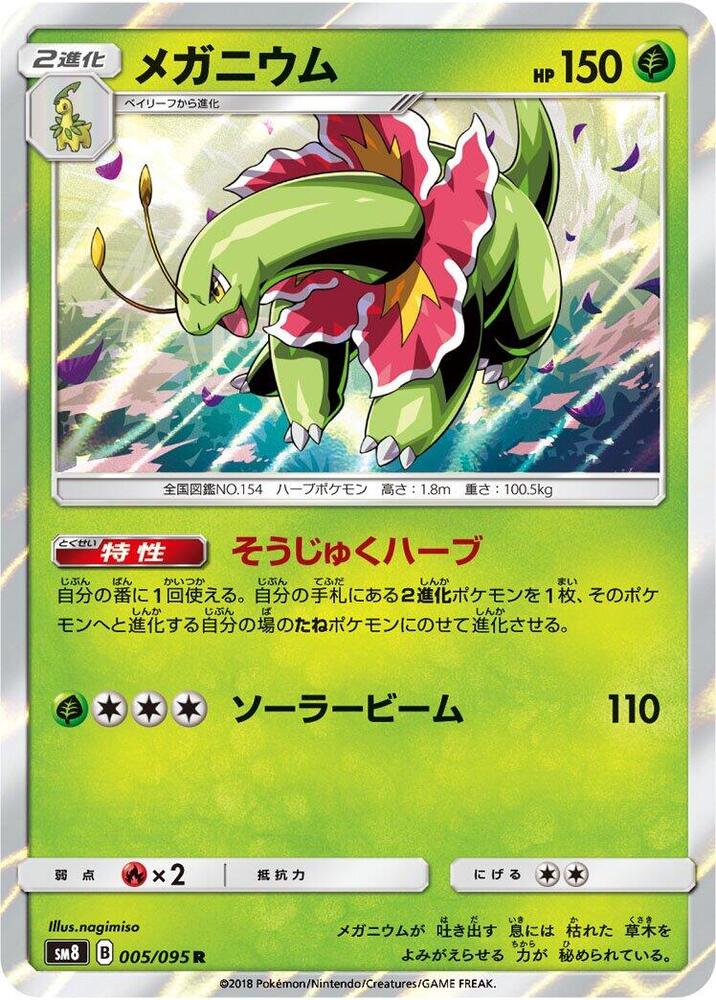 大竺葵