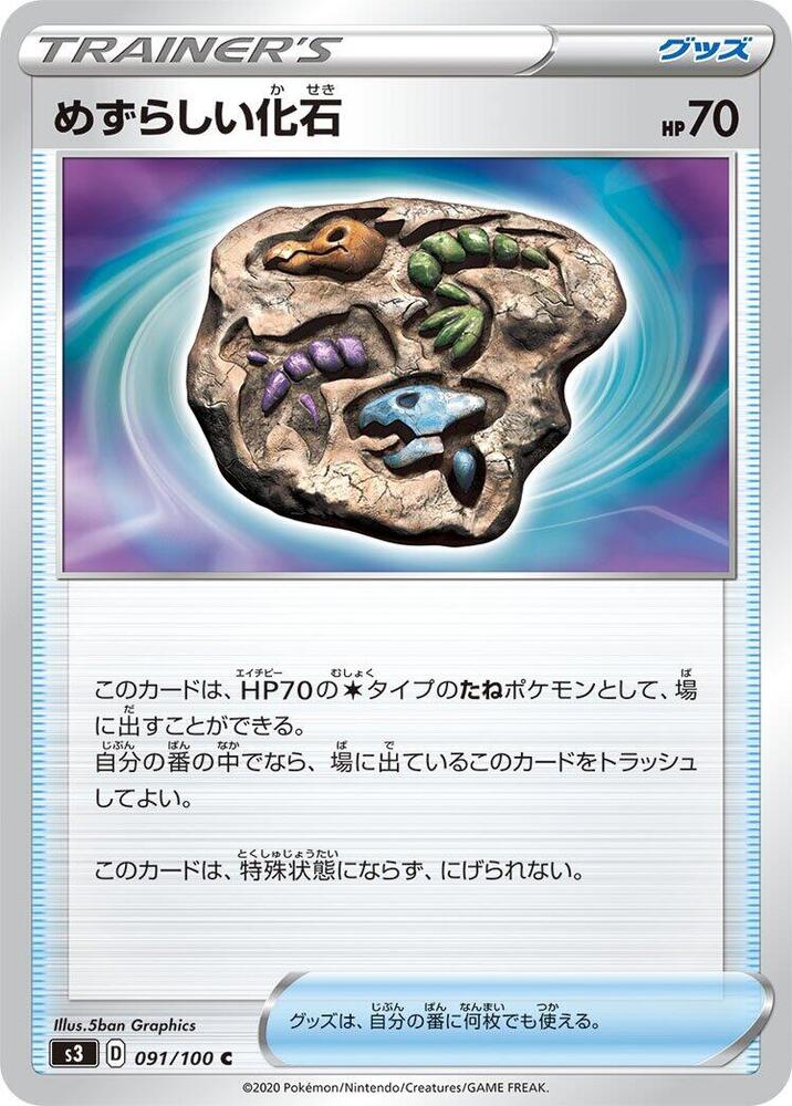 Rare Fossil