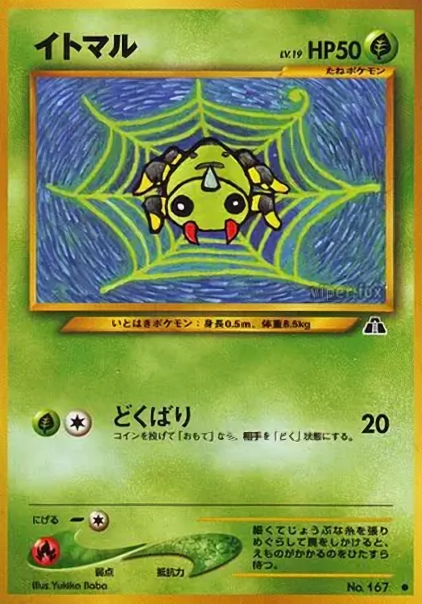 圓絲蛛