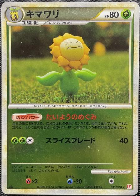 Sunflora