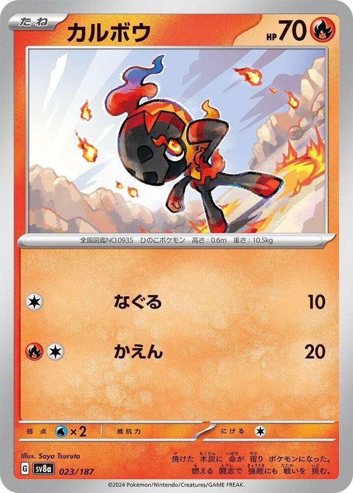 炭小侍