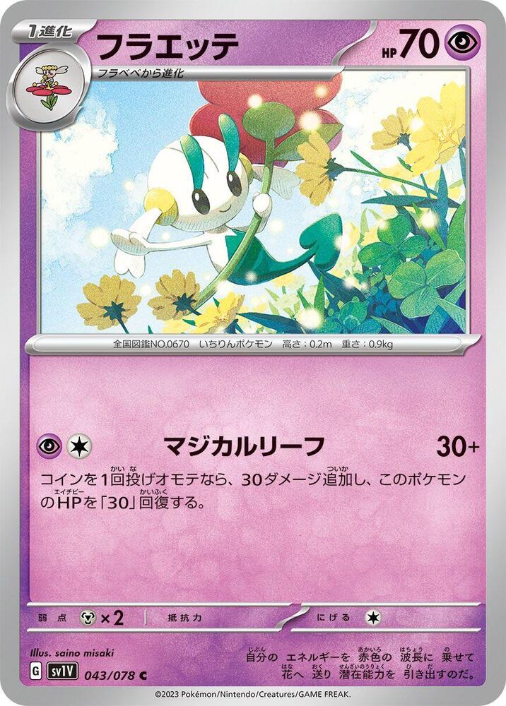 花葉蒂